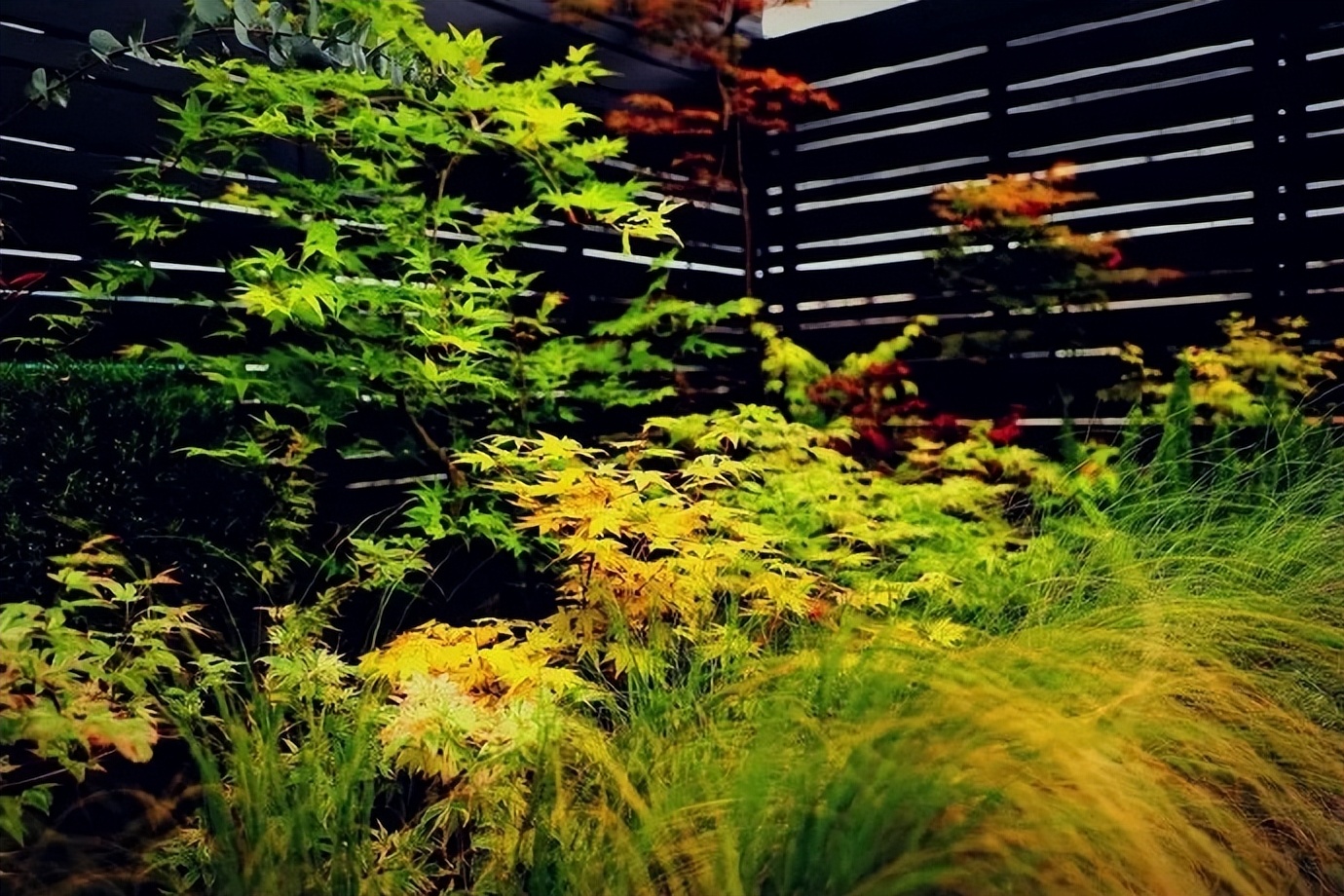 人到五十岁后，发现生儿子和女儿，太不一样了