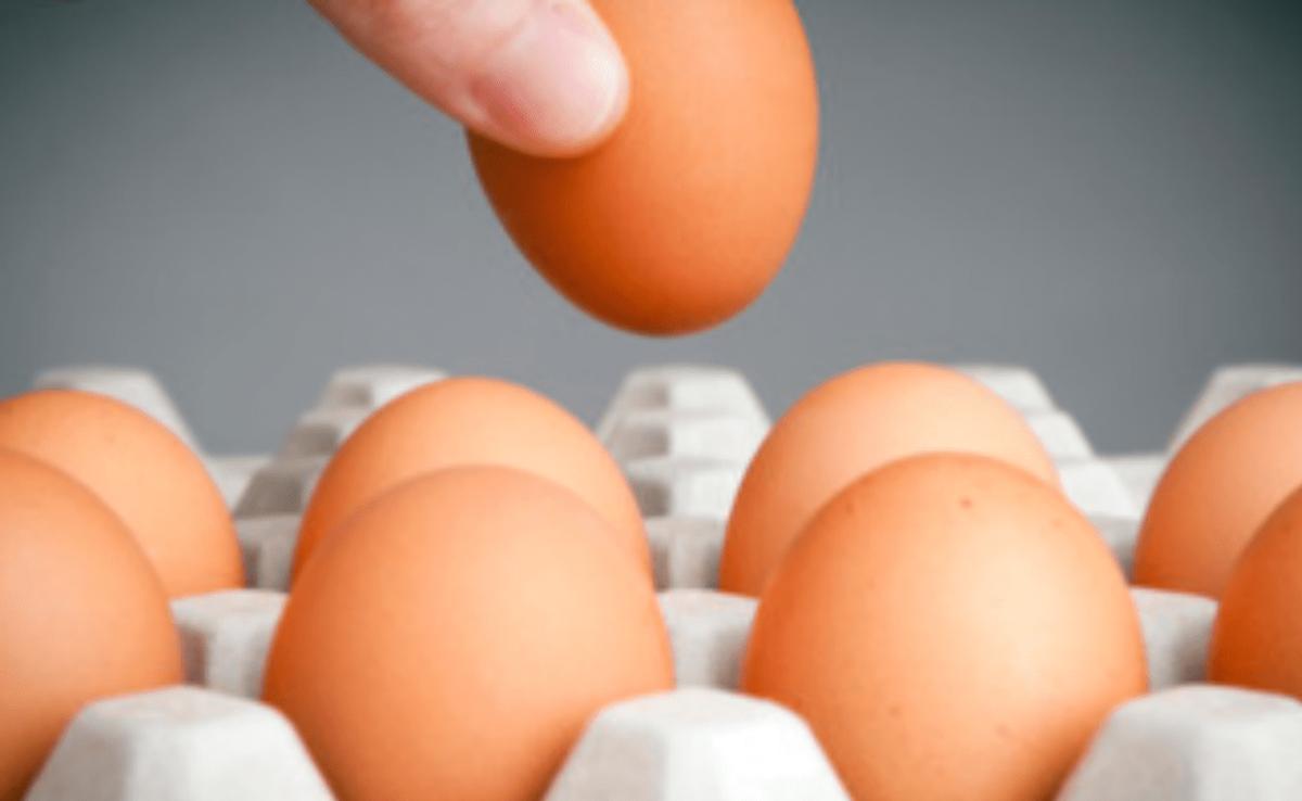 鸡蛋不放冰箱放一年都不坏的方法,鸡蛋保存方法可直接放冰箱保鲜吗