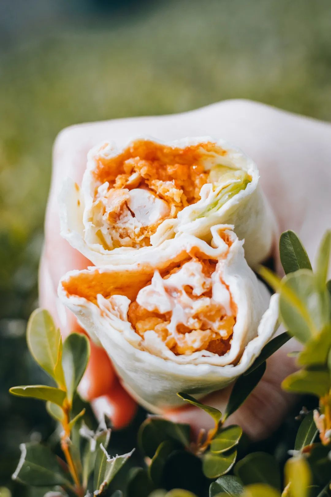 华莱士汉堡炸鸡薯条可乐鸡翅,华莱士为什么只有炸鸡汉堡