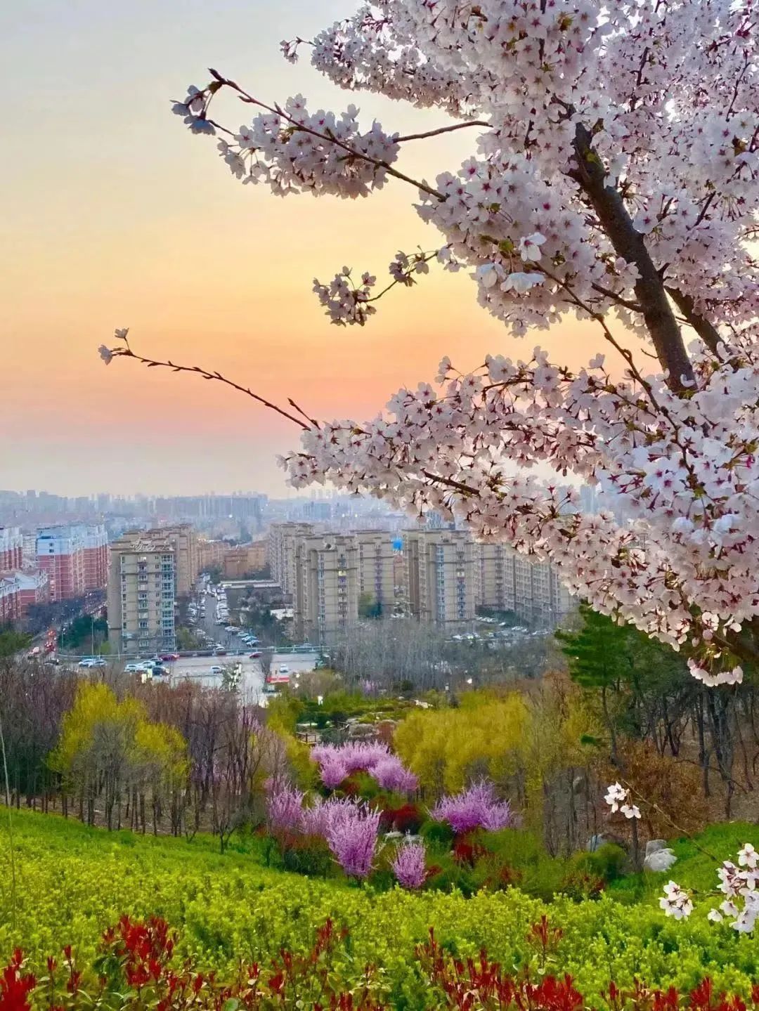 青岛踏春哪里最适合旅游,青岛冬季踏青好去处
