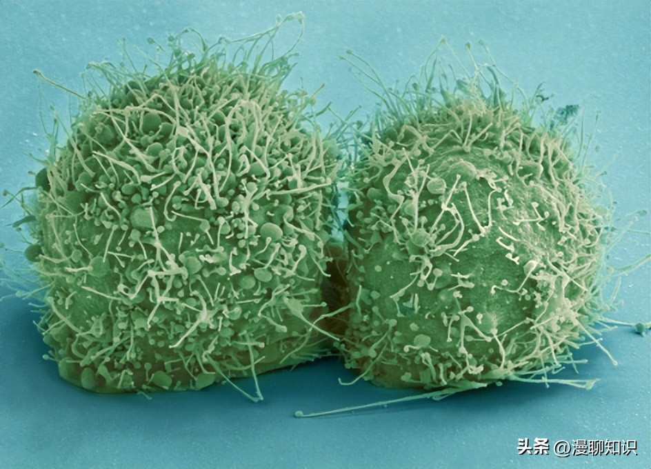 妇阴康洗剂效果怎么样,妇阴康洗剂是抗生素药吗