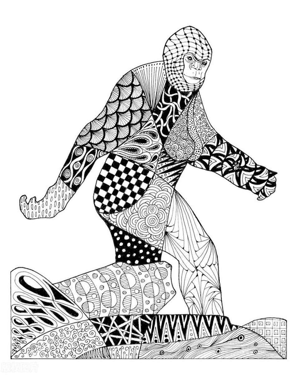 美国大脚怪,北美大脚怪真实事件