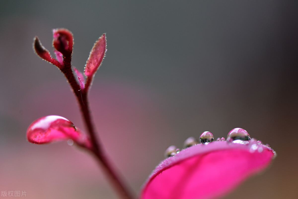 微信聊天引发绑架,微信绑架了你的生活