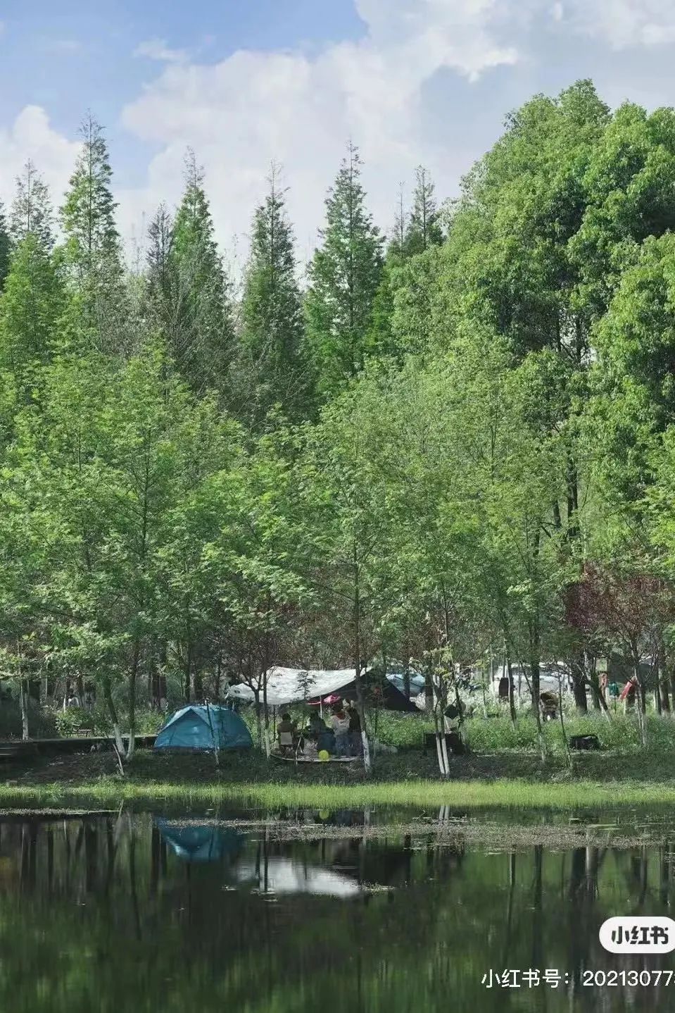 成都免费露营地推荐过夜,成都周边露营地推荐自驾