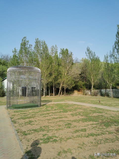 回到童年时光的故事,童年时光与童年故事是一个品牌吗