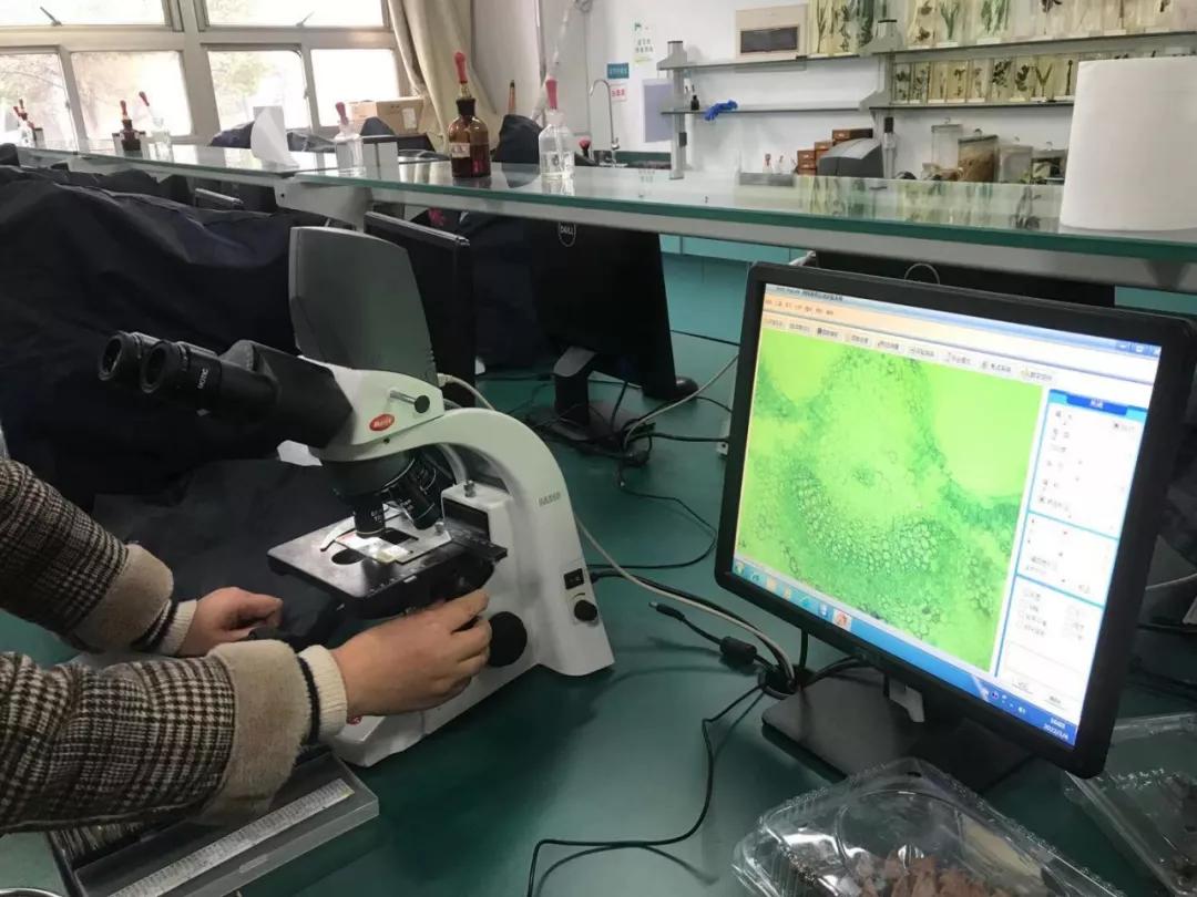 科技体验研学,科技研学课