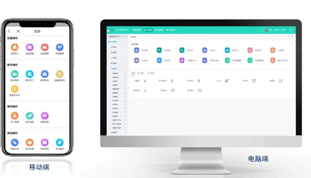智慧赋能丨种羊场里的“科技范儿”