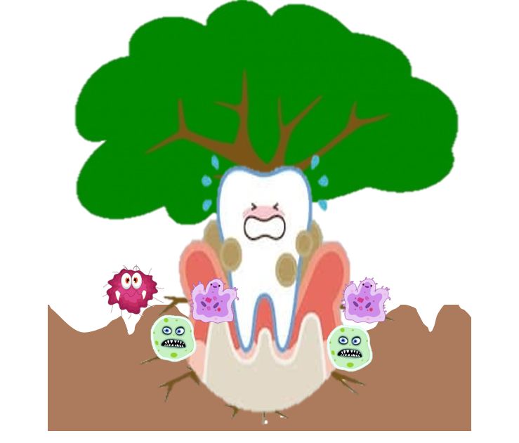 牙周炎牙齿松动治疗能恢复吗,牙周炎导致牙齿松动还能恢复吗