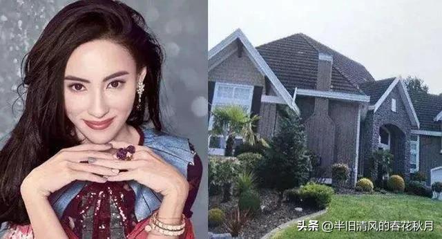 上海张柏芝的视频,香港影星张柏芝