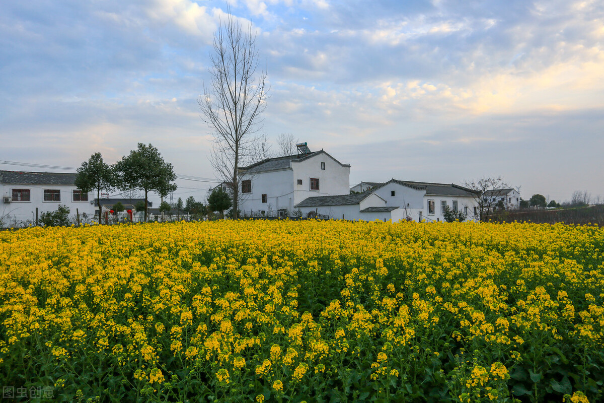 农村三轮车四轮车要禁止上路吗,国家对三轮四轮车上路有规定吗