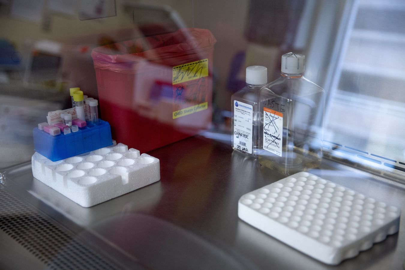 致命真菌耳念珠菌,致命真菌有什么症状