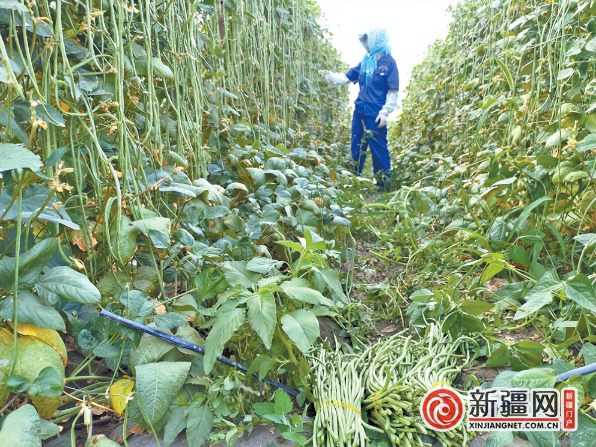 生活用品批发新疆包邮,生活必需品集采