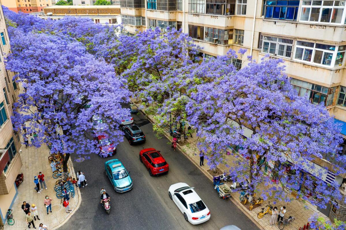 昆明理工大学文科最好专业排名,昆明文理学院2021专业