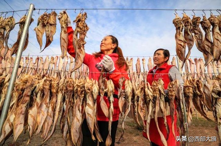 鱼干怎么晾,鱼干的烘干的方法