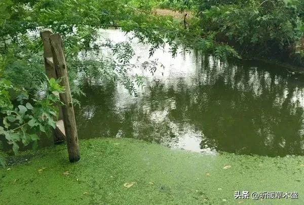 与人交往三种话不要轻易说出口,与人交往的三条忠告