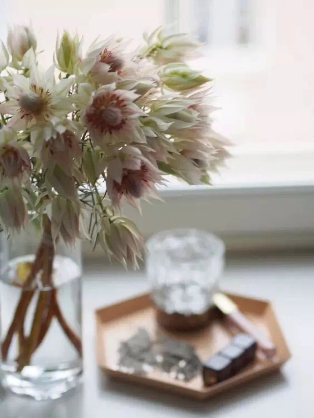 南非新娘花季节,南非的新娘花