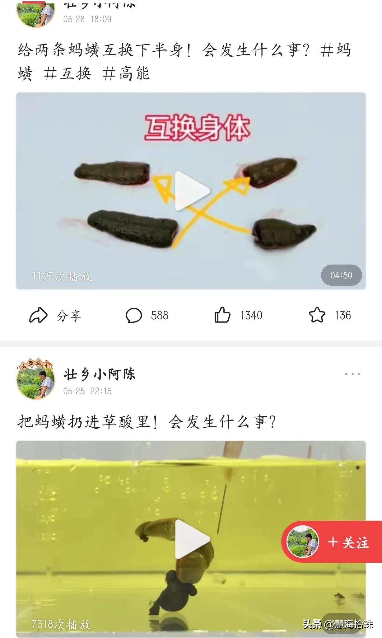 为什么有些人喜欢杀动物,为什么有人会虐猫或虐狗