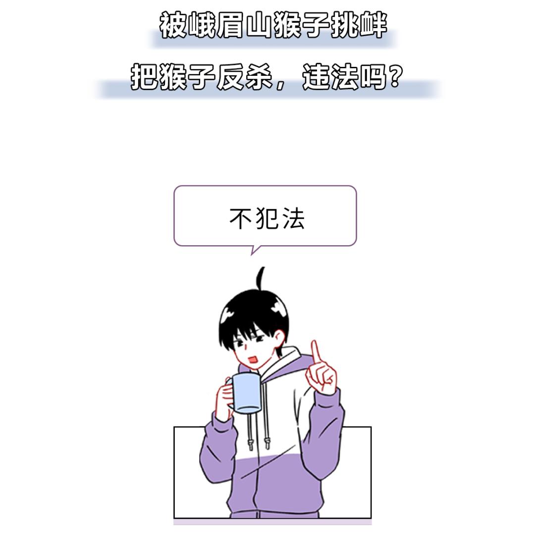 被峨眉山猴子打可以反击吗,峨眉山猴子被人类反杀