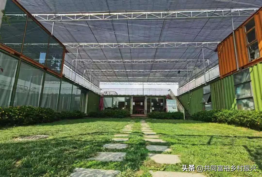 it精英的行业,鱼菜共生盈利商业模式