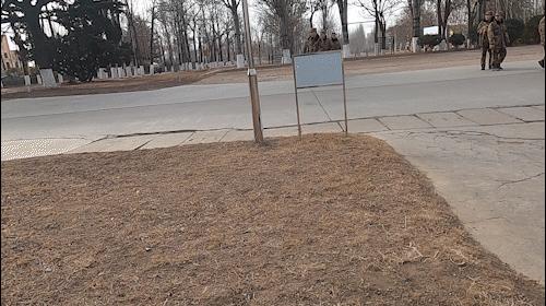 兵哥哥假期的正确打开方式,兵哥哥的日常作息时间