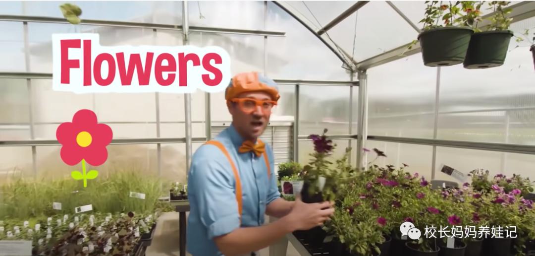 关于春天种植的英文儿歌,英文种植儿歌