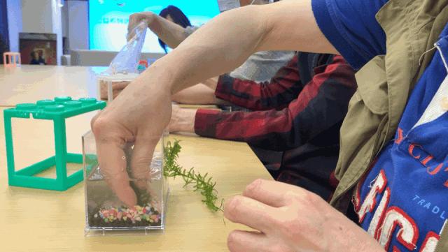 生态鱼缸如何做过滤,金鱼生态鱼缸制作