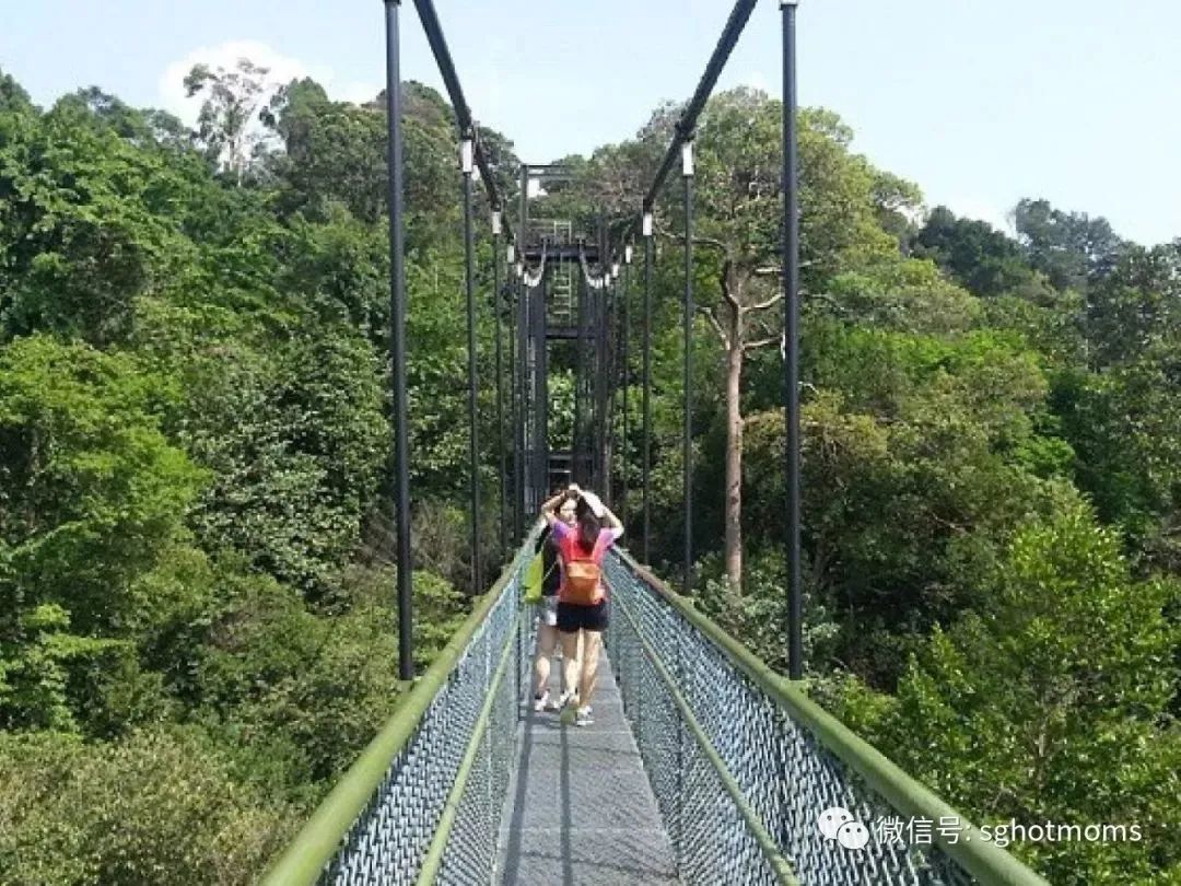 新加坡遛娃免费景点推荐一下,新加坡周末遛娃