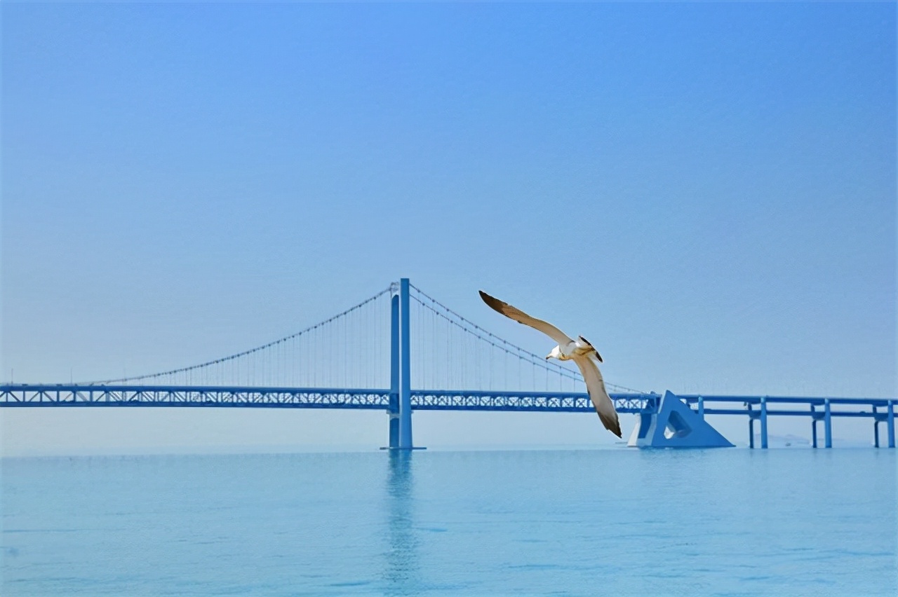 海南烂尾岛现状,海南烂尾岛完整视频