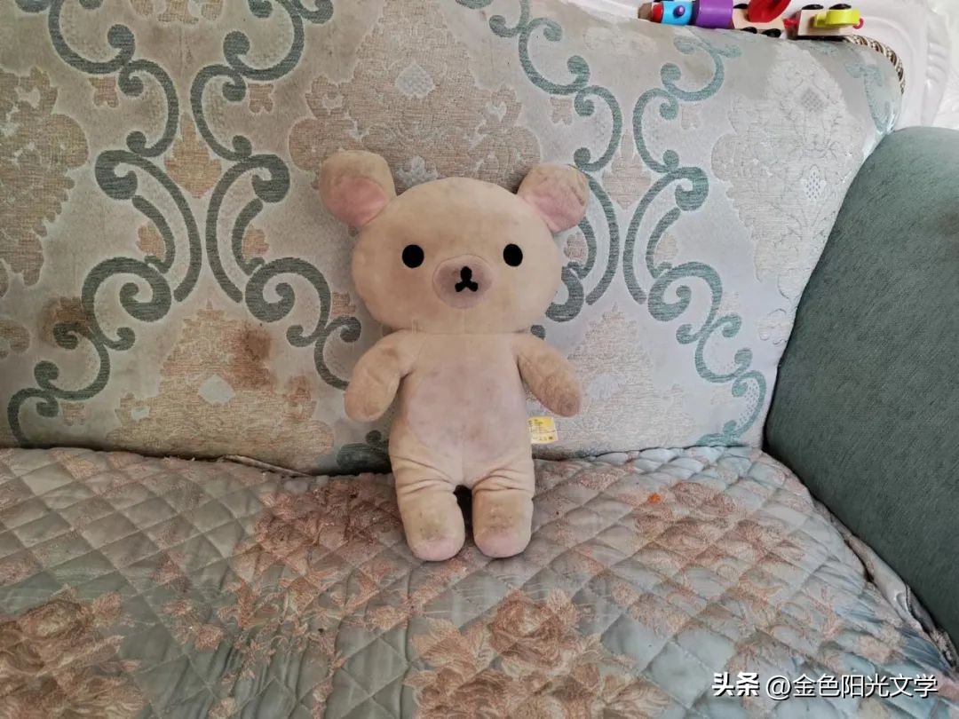 作文心爱之物500字,我的心爱之物作文开头