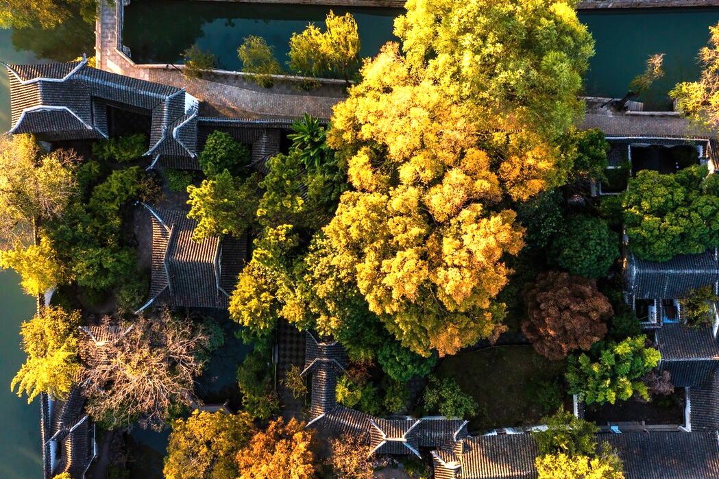 一次游完苏州4大园林攻略,逛苏州四大园林花费