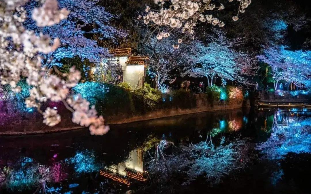 描写花影的诗词,带有花影诗句