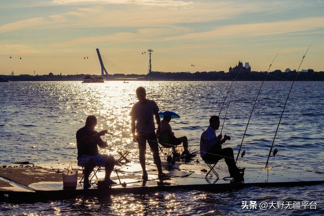 小说钓鱼执法完整版,小说钓鱼系统