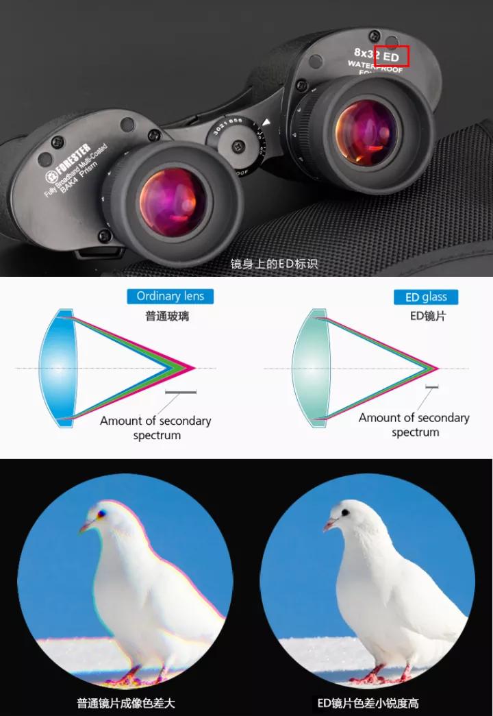 15倍双筒圣途望远镜,圣途森林人双筒望远镜测评