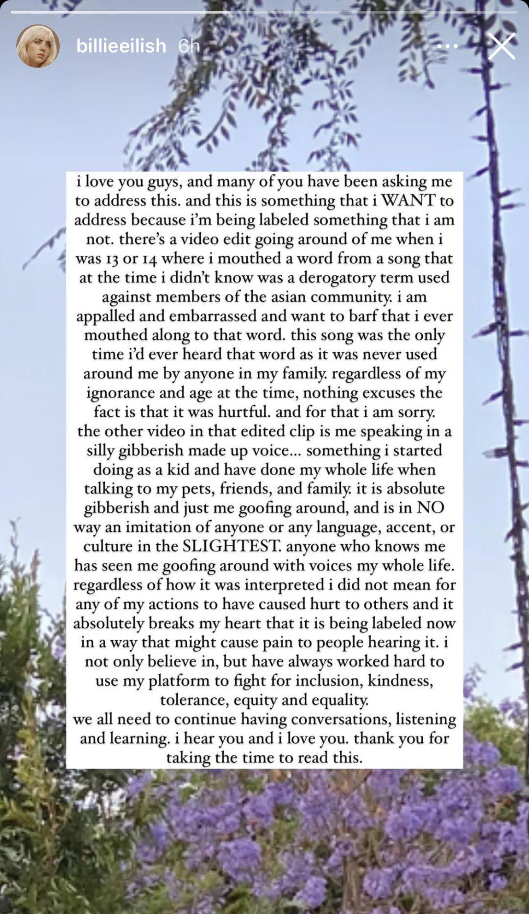 美*歌国**坛小天后就辱华发长文道歉