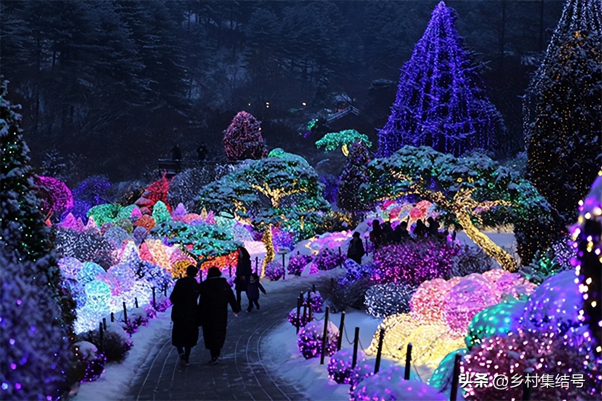 韩国晨静花园,韩国晨静树木园设计方案