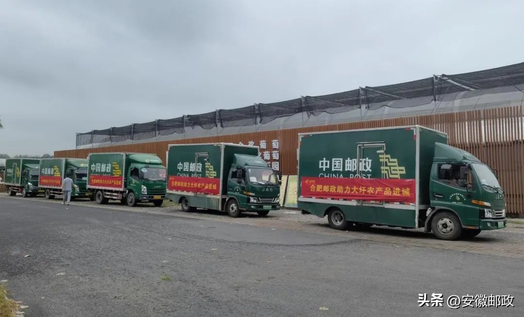 妗愬煄閭斂鍔╁姏涔℃潙鎸叴,閭斂涔℃潙鎸叴鎴樼暐