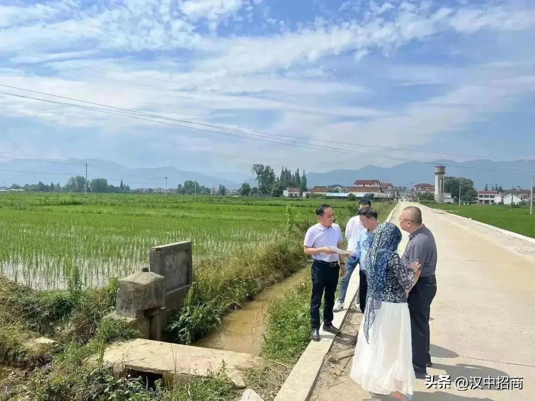 汉中吸引人才回乡创业,招商引资引进来和走出去更好结合