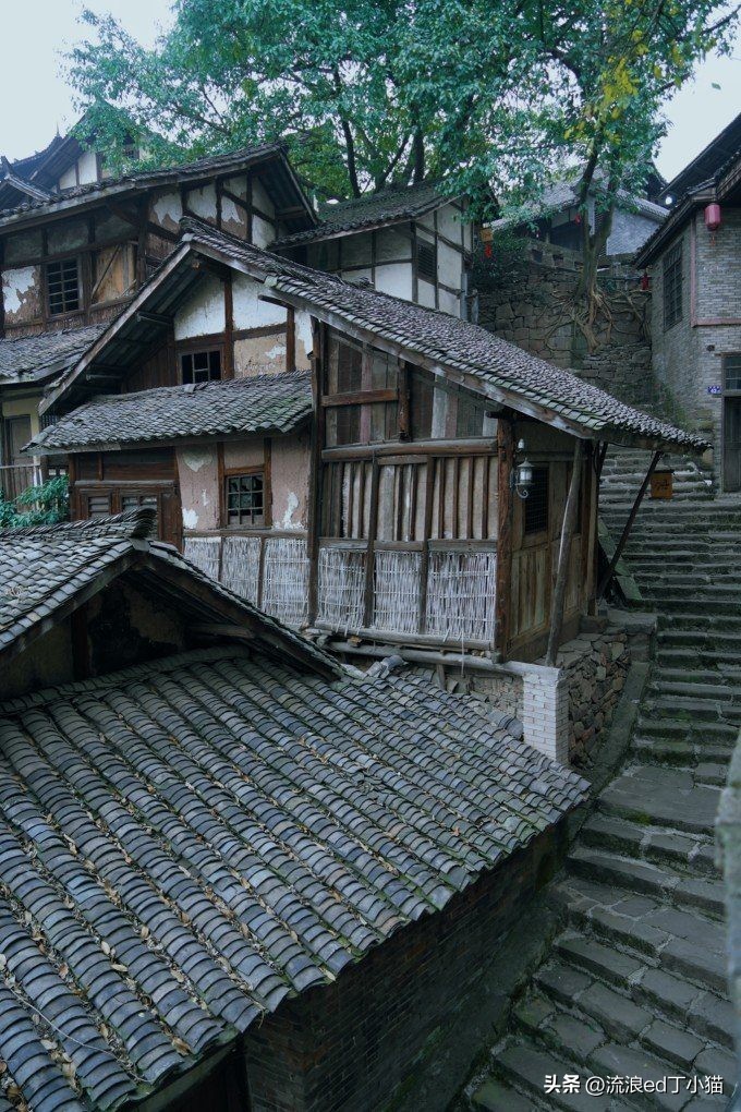 舌尖上的中国泸州古蔺椒麻鸡,古蔺麻辣鸡是哪里的特色小吃