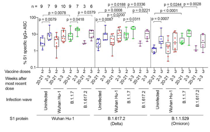 omicron变异毒株感染症状,感染omicron有什么症状