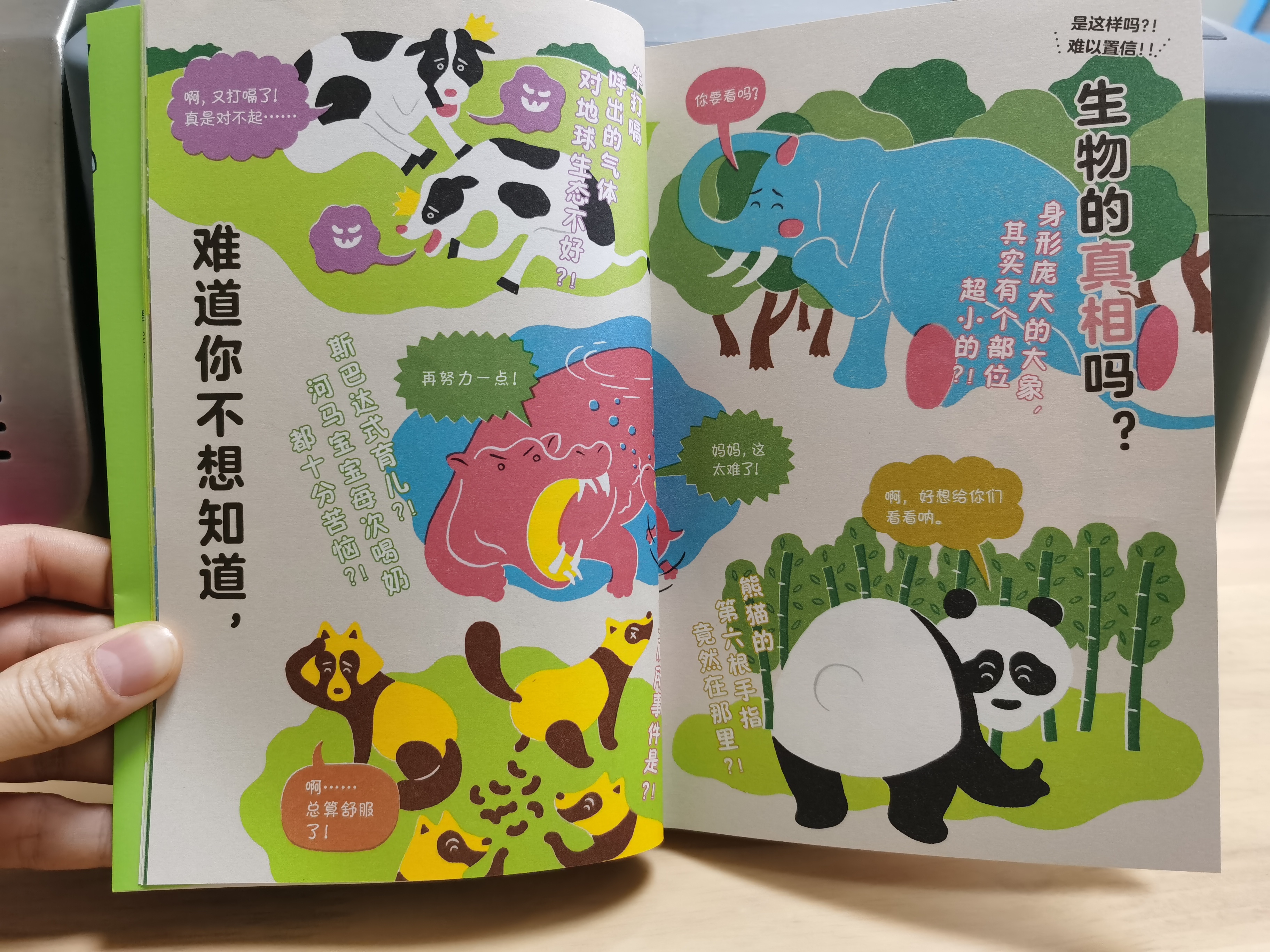 熊猫有几条腿是四条还是两条,熊猫有几根脚趾几根手指