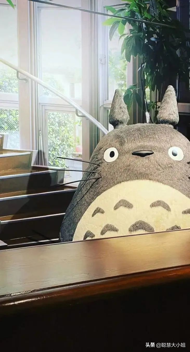 日本动漫圣地宫崎骏吉卜力美术馆,宫崎骏吉卜力美术馆购票攻略