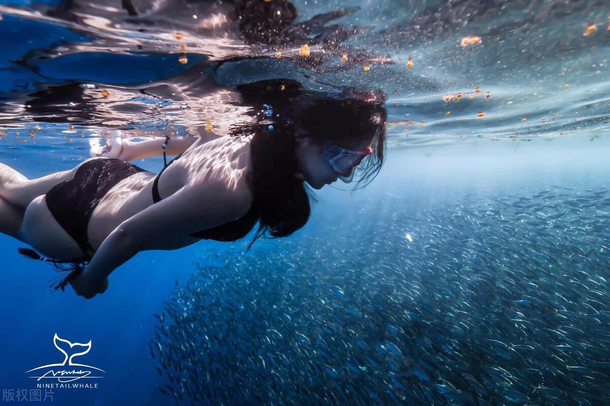 马尔代夫旅游最佳时间和地点,马尔代夫游的注意事项