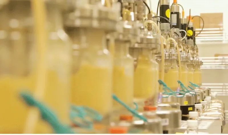 如何投资合成生物学,合成生物学投资的三大维度