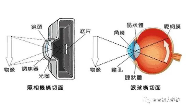提升视力按摩眼睛的正确方法视频,怎样提升视力最快方法