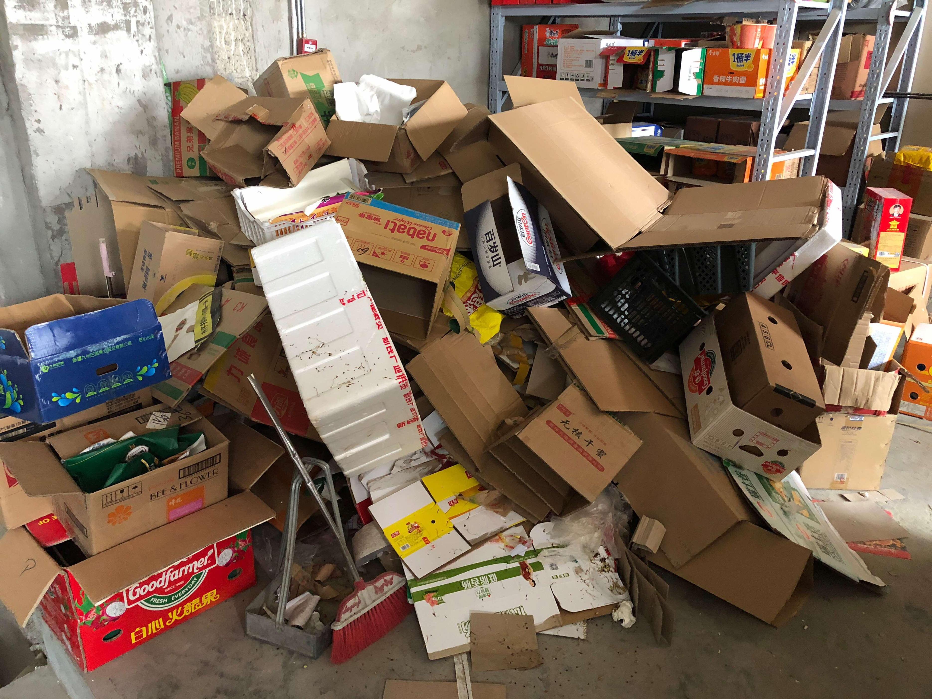 根据蟑螂的生存习惯我们应该如何预防蟑螂