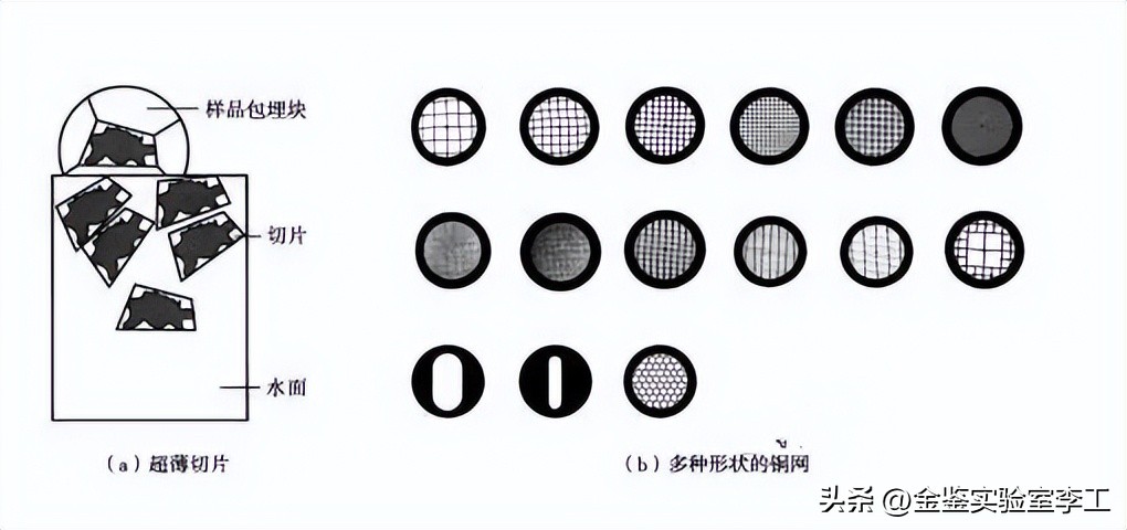 tem电子显微镜解析视频,透射电子显微镜tem操作步骤