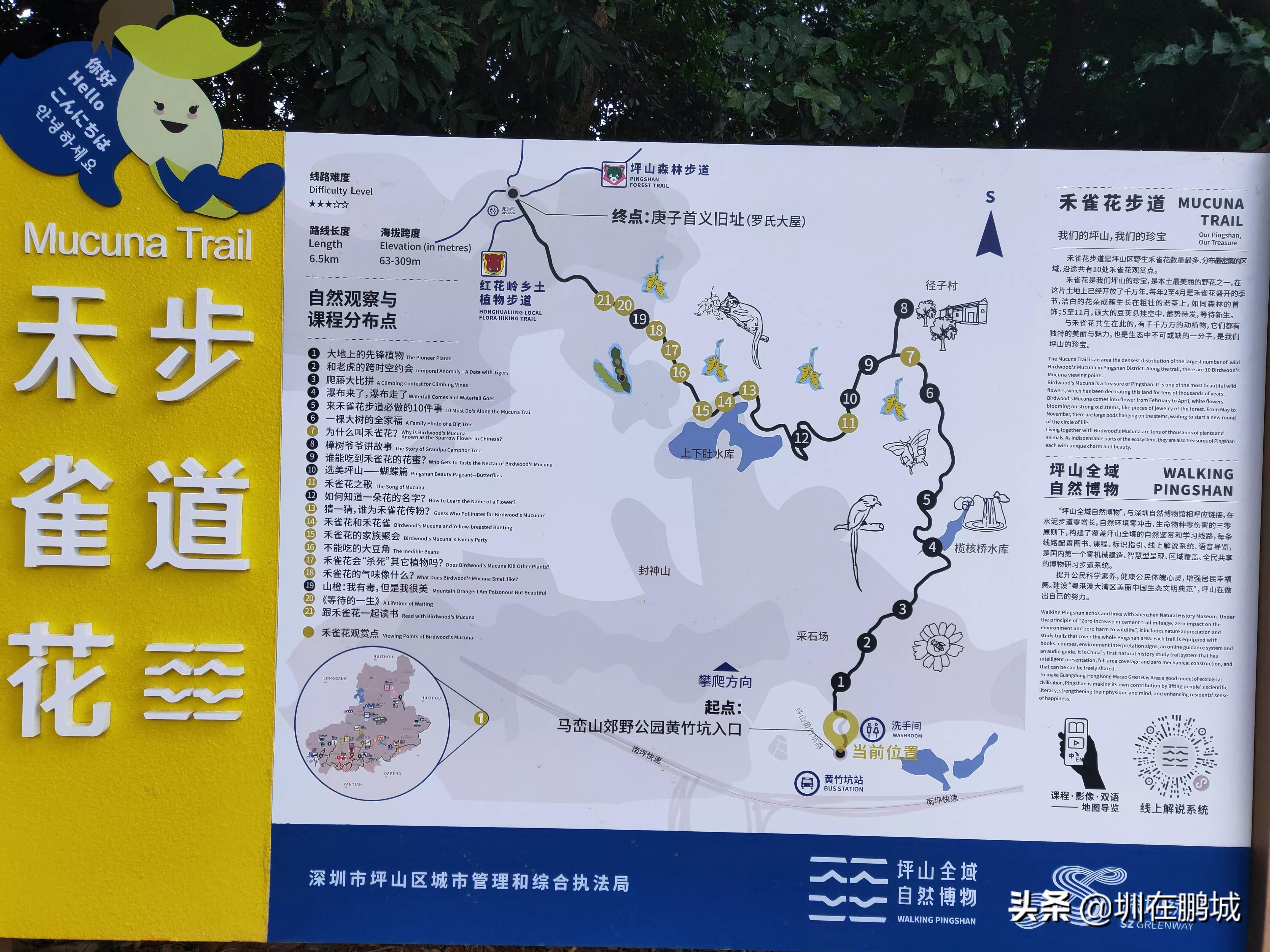 从马峦山穿越梅沙尖有多远,马峦山穿越坪山到大梅沙