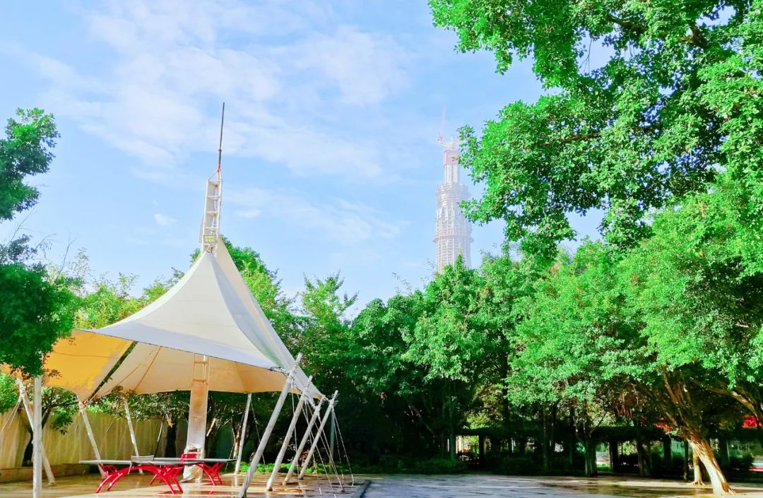 2019年一年级招生简章,2022年公办学校一年级怎么招生