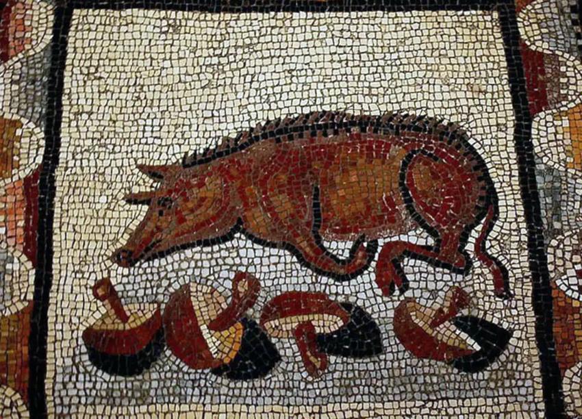 古罗马贵族的奢侈饮食,罗马睡鼠烹饪