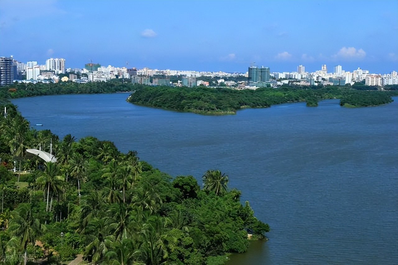 辛巴辛选主播蛋蛋带货超5000万，琼海“便民冷饮夜市一条街”亮了